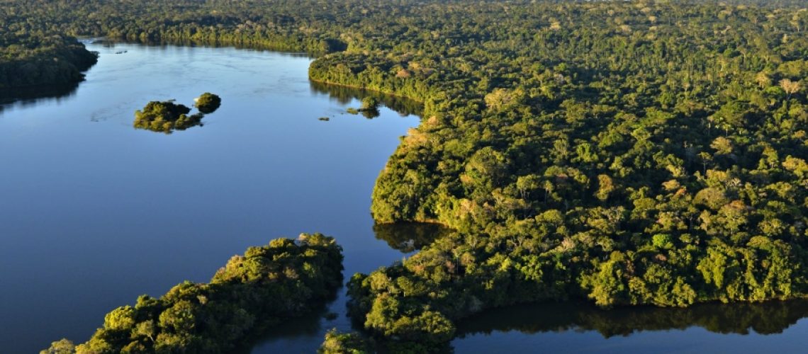 amazonia