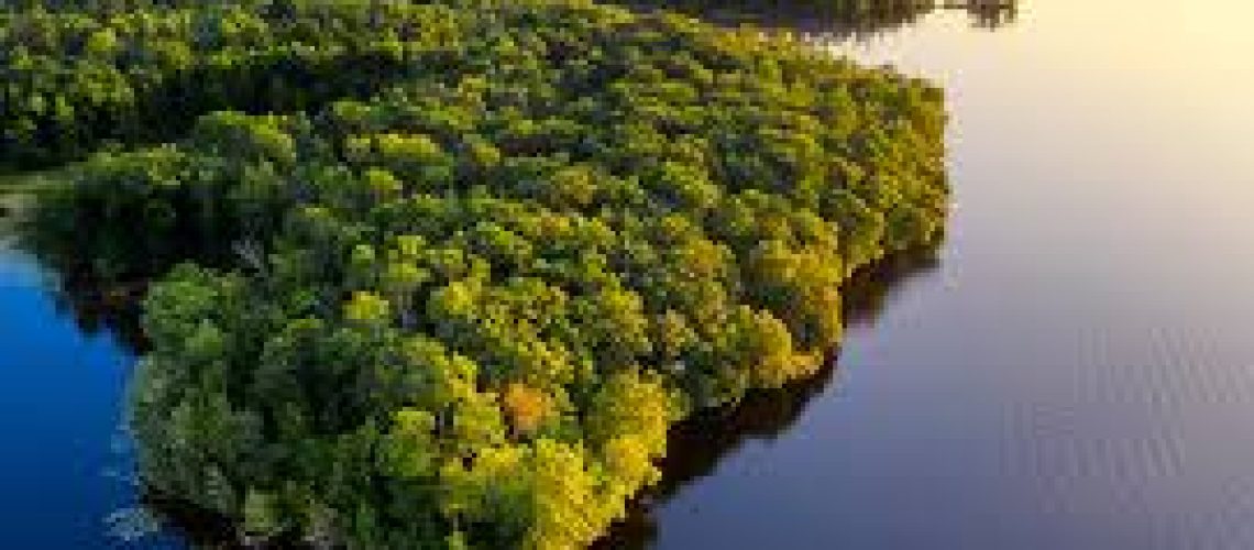 amazonia