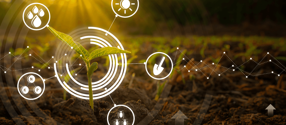 analise-agricultura-digital-plantacao