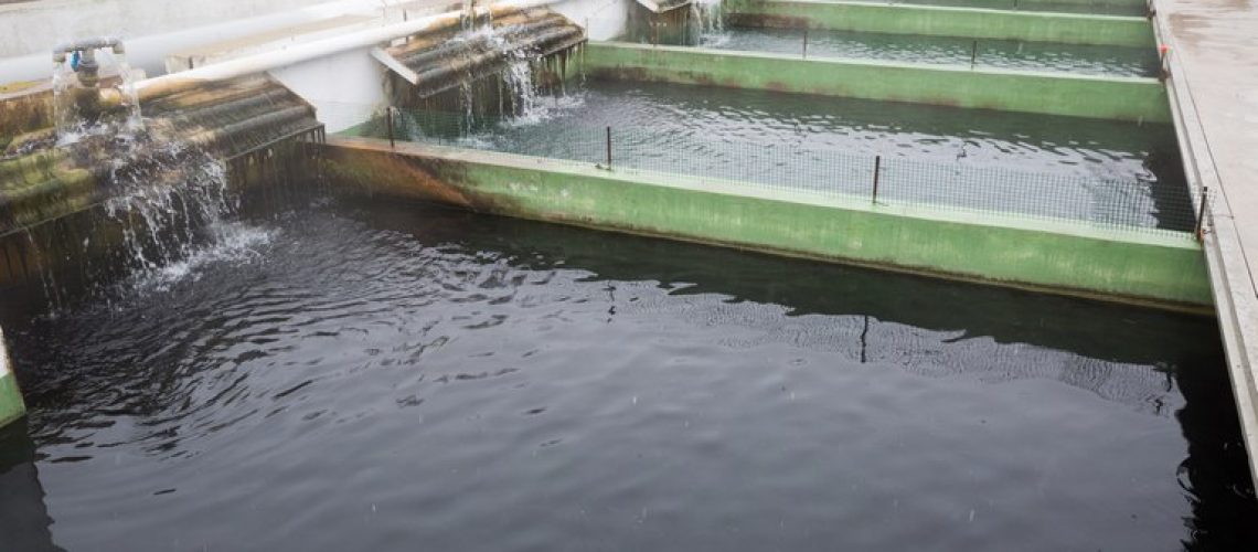 aquicola