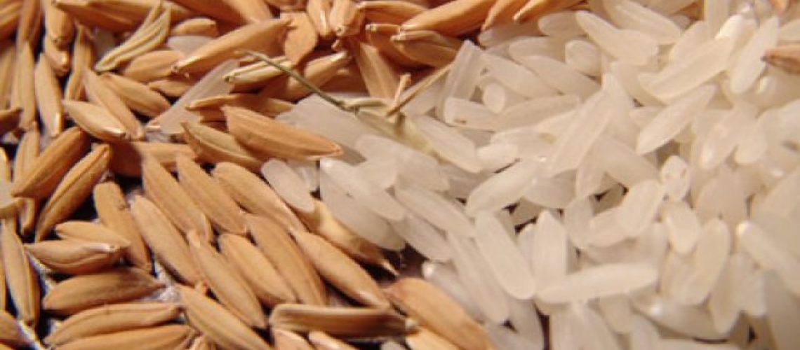arroz