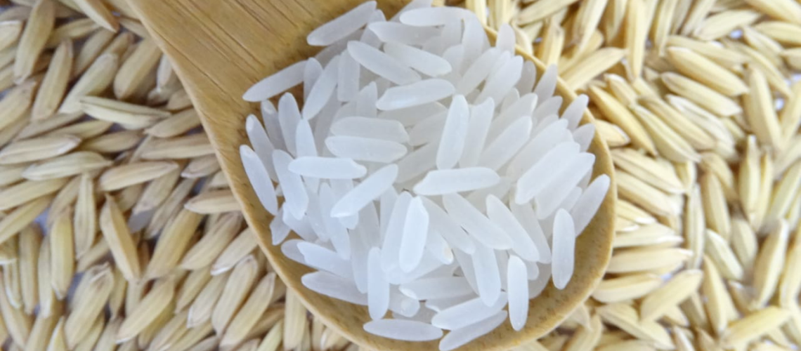 arroz