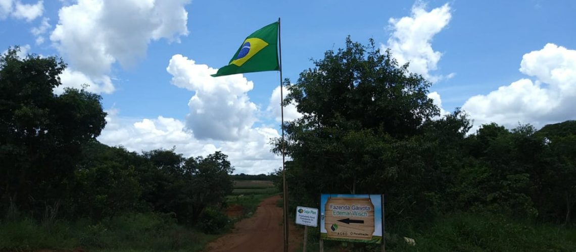 bandeira