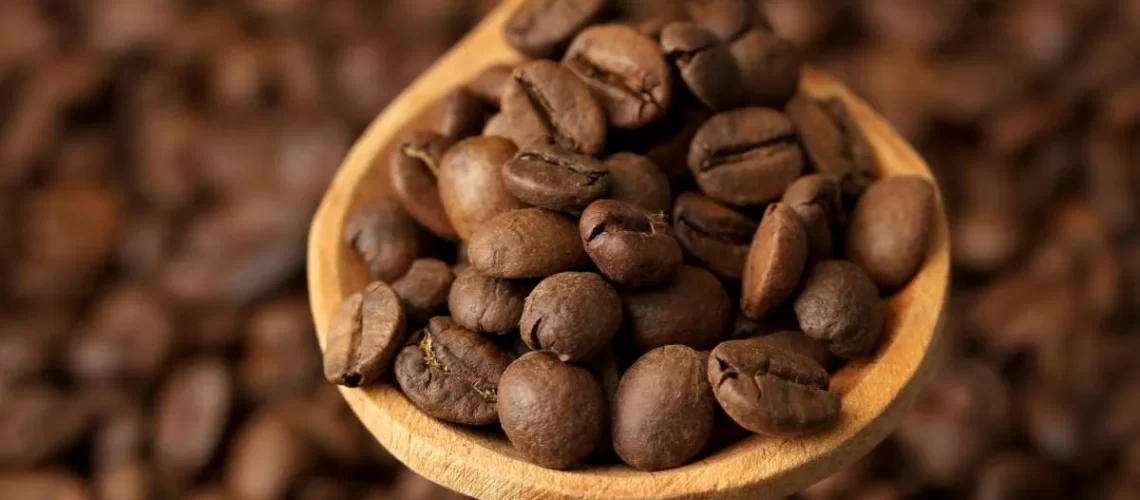 café-do-brasil-capa