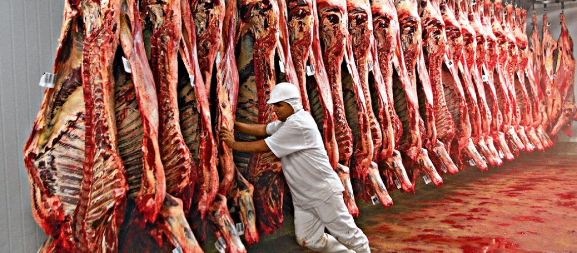 carne-2
