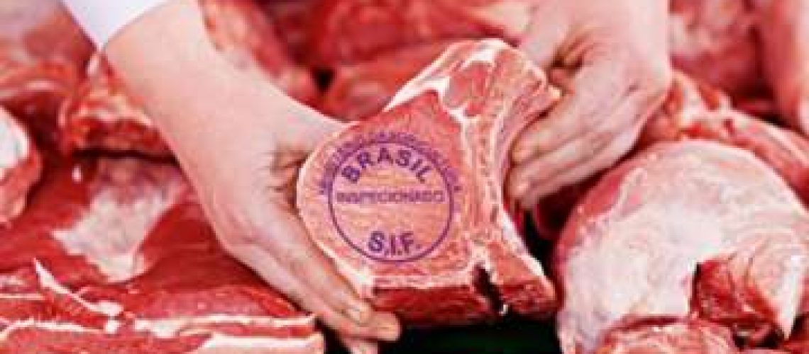 carne-234-360x232