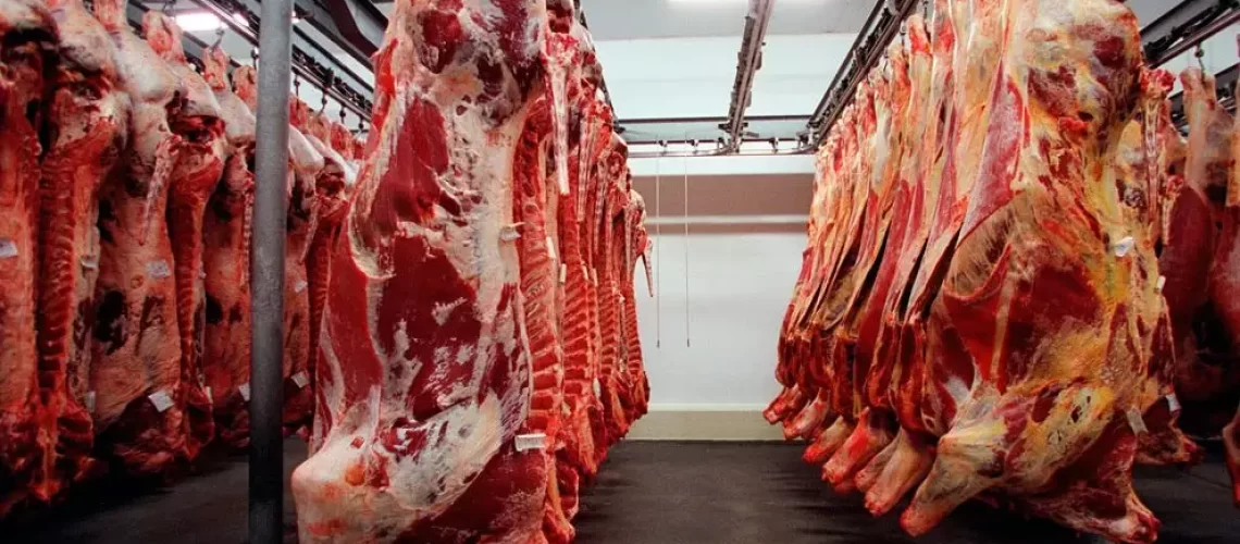 carne-bovina