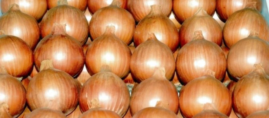 cebola-672x372