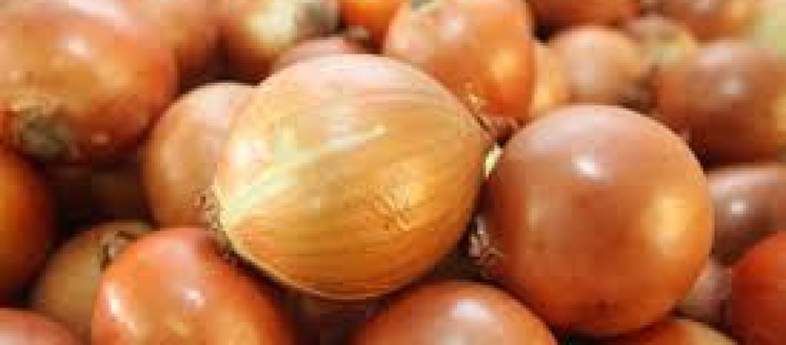 cebola
