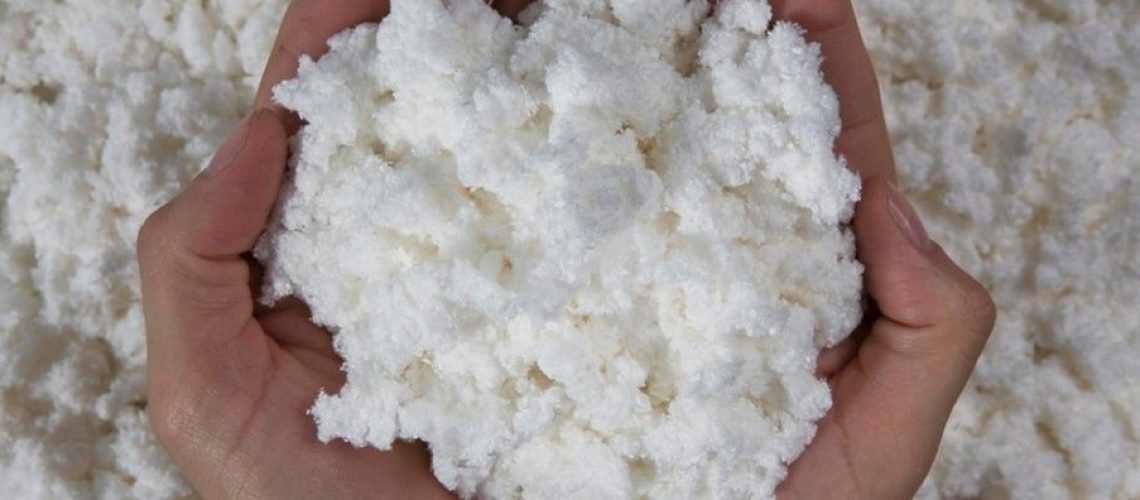 celulose