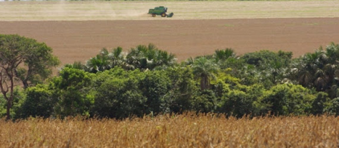 cerrado