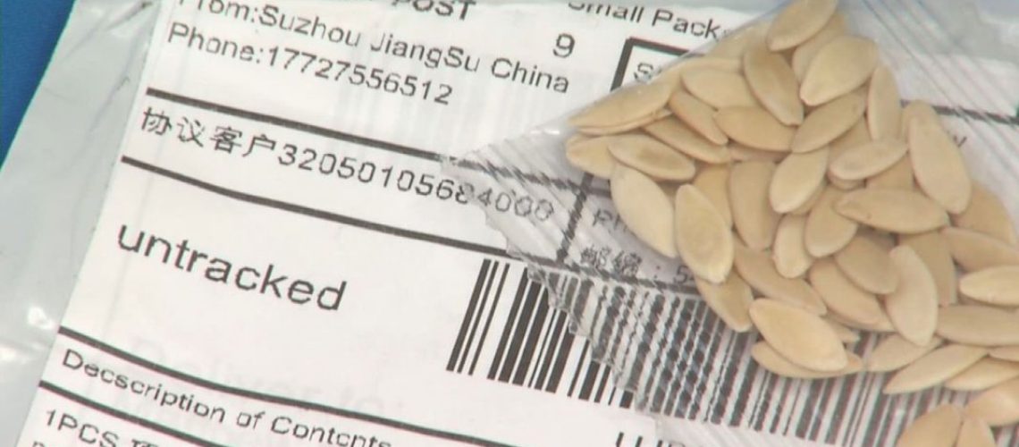 china-seeds-1068x601