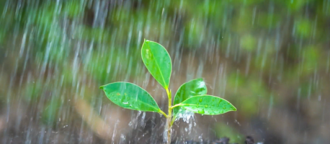 chuva