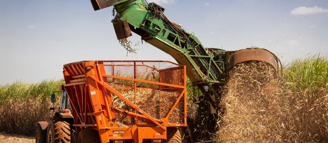 colheita-cana-acucar (5)