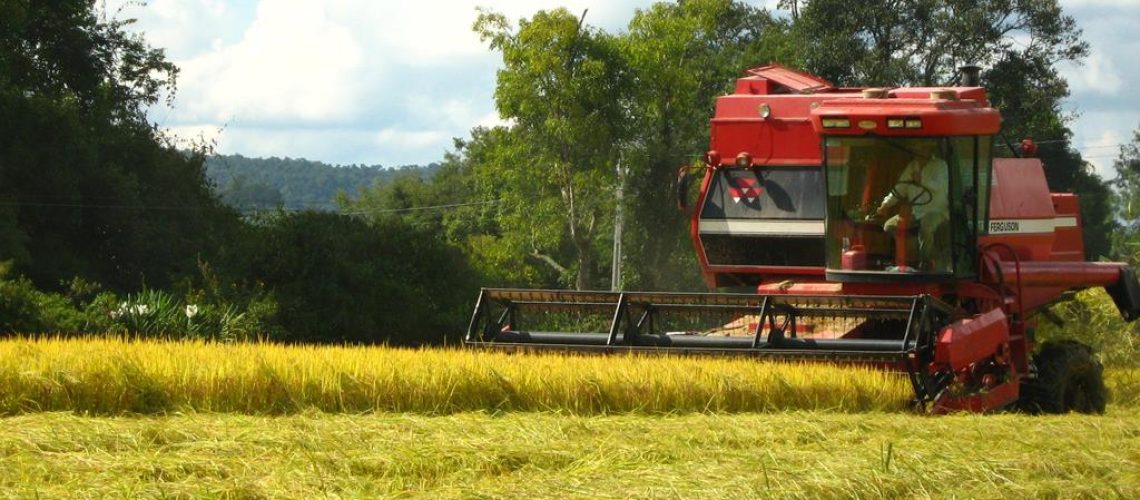 colheitadeira-no-campo-24102018