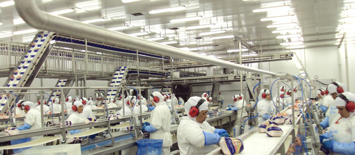 O Paraná consolidou sua liderança na exportação de frango no País com mais um recorde nos embarques em 2015. Foram 1,481 milhão de toneladas exportadas, volume 15,17% maior do que em 2014, de acordo com dados da Secretaria de Comércio Exterior (Secex), do Ministério de Desenvolvimento, Indústria e Comércio Exterior (MDIC). O Paraná representou 34% das exportações brasileiras, que somaram 4,304 milhões de toneladas no ano passado. 

Impulsionada pelos investimentos das cooperativas agropecuárias, pela integração com o produtor e o bom resultado na exportação, a avicultura paranaense cresce mesmo com a economia nacional encolhendo. “A avicultura paranaense atingiu um forte grau de especialização, com a conquista de mercados exigentes e ainda tem espaço para expansão no Estado”, diz Francisco Carlos Simioni, chefe do Departamento de Economia Rural (Deral) da Secretaria de Estado da Agricultura e do Abastecimento. 

O setor respondeu por 20% das exportações do agronegócio do Paraná em 2015, de acordo com levantamento realizado pela Federação da Agricultura do Paraná (Faep). Os principais mercados da carne de frango foram Arábia Saudita (22%), União Europeia (13%), China (11%), Japão (9%) e Emirados Árabes (9%). 

A cadeia paranaense da avicultura abate cerca de 1,8 bilhão de aves por ano e gera 60 mil empregos diretos e cerca de 600 mil indiretos no Estado. Ao todo são 36 frigoríficos, a maioria na região Oeste, com uma produção de 3,6 milhões de toneladas, de acordo com o Deral. 

RECEITA - As exportações de carne de frango somaram US$ 2,37 bilhões no ano passado, com uma variação de 0,10% em relação a 2014. O crescimento menor em faturamento, apesar do aumento do volume, ocorreu porque houve, em média, uma queda de 13% no preço do frango comercializado no Exterior, explica a economista Tania Moreira, do departamento técnico e econômico da Faep. 

A queda dos preços em dólar, no entanto, foi compensada pela desv