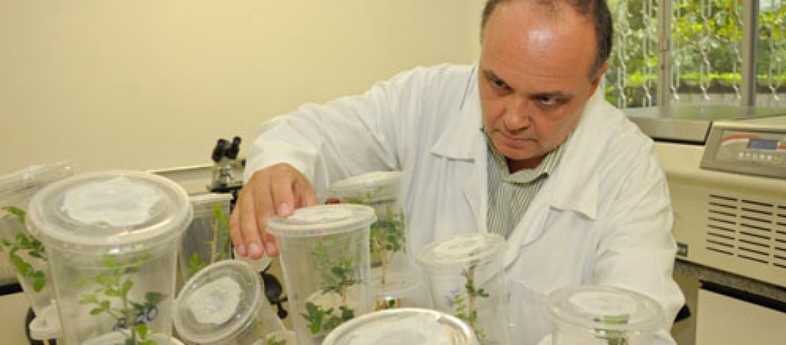 controle-biologico