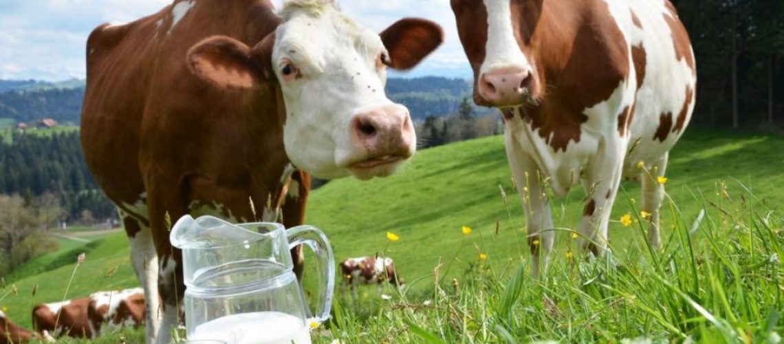 cows-milk-substitutes-1021x580