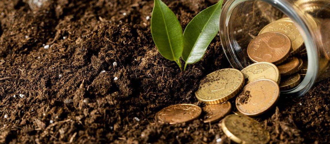 credito-rural-o-que-e-e-como-beneficia-seu-negocio-imagem-01 (1)