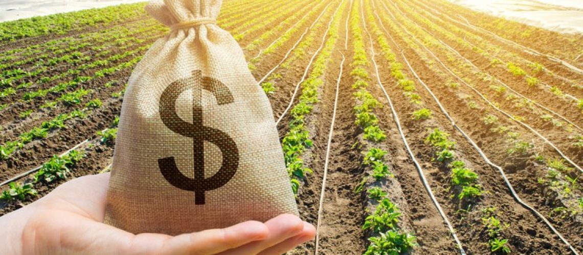 credito-rural