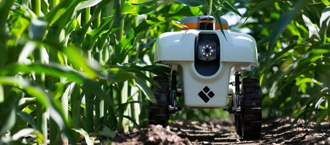 digital-agro-5-vantagens-do-uso-de-ia-na-agricultura-brasileira