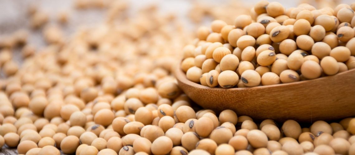 dl.beatsnoop.com-3000-KqmDu69iv3-scaled-1