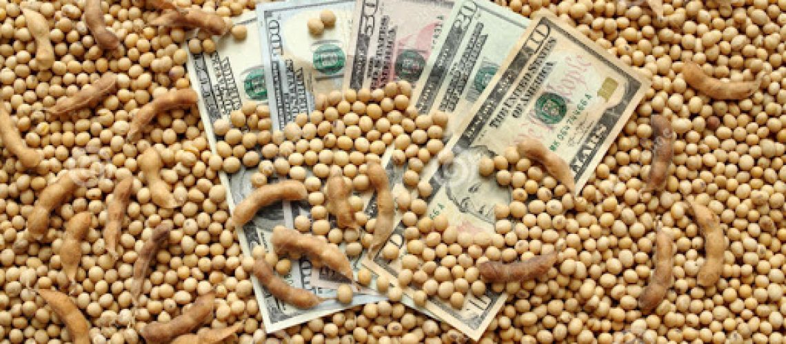 dolar