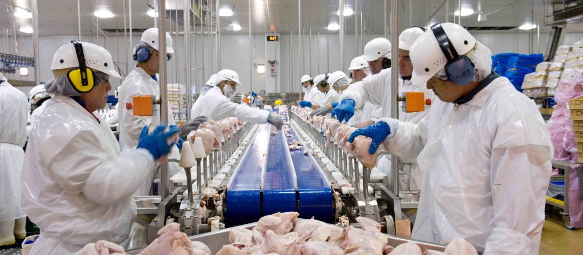 exportacao-frangooo (1)