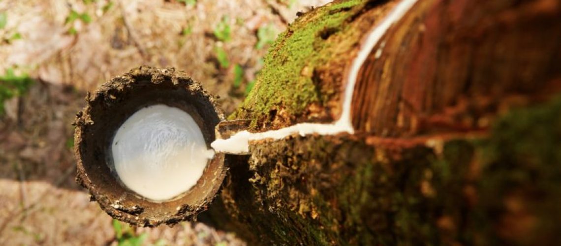 xr:d:DAFhUTA5S5c:557,j:4268690797479598136,t:23092717