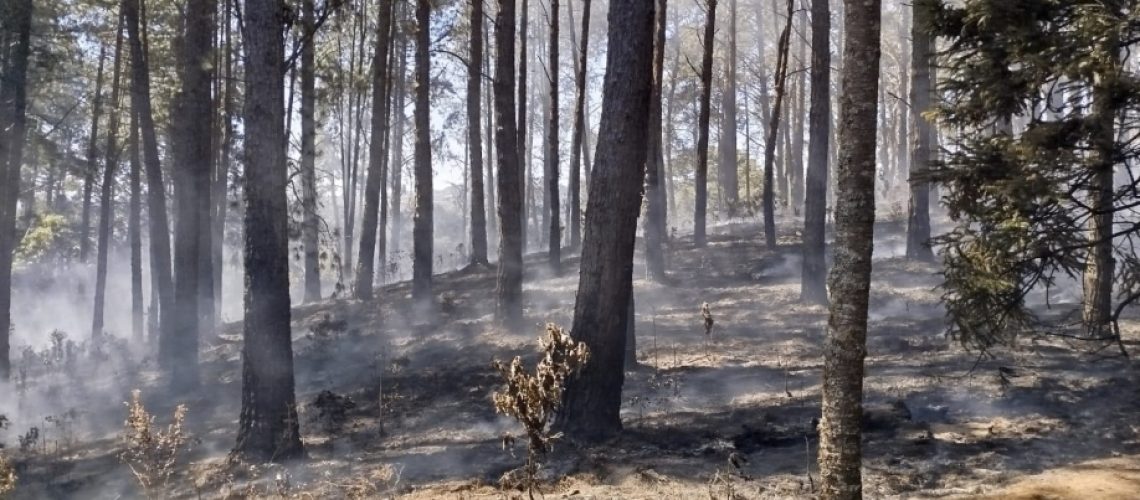 faesp-incendios-em-sao-paulo-rZc2kQ_918x474
