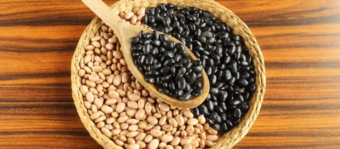 feijao-carioca-feijao-paulista-portal-minha-receita