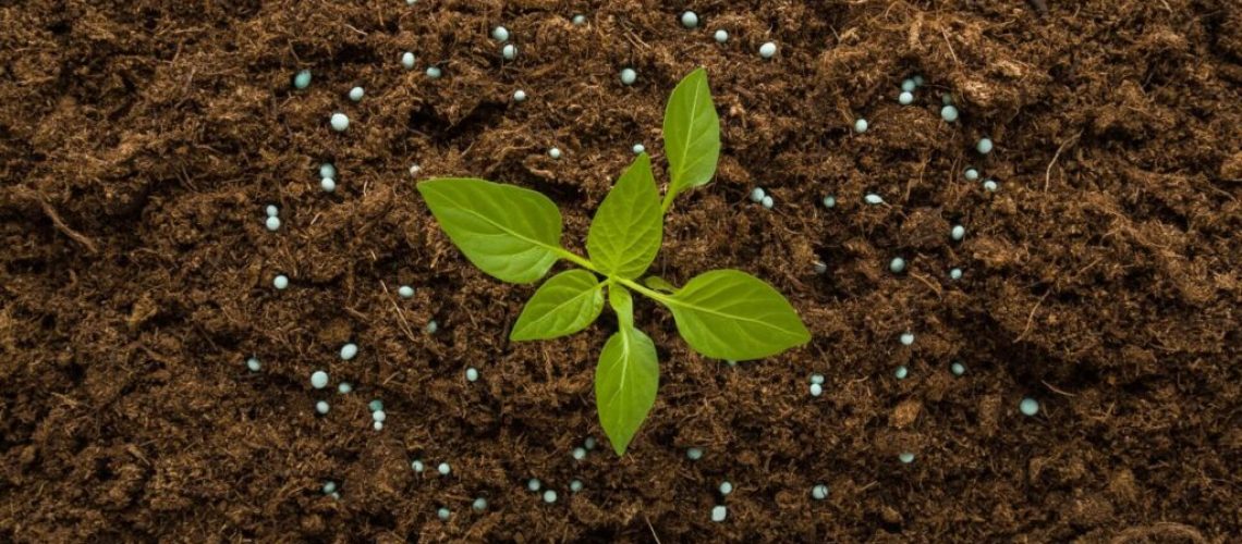 fertilizante-verde-1024x682