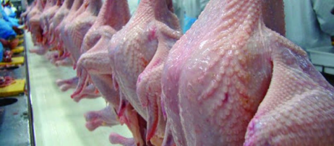 frango