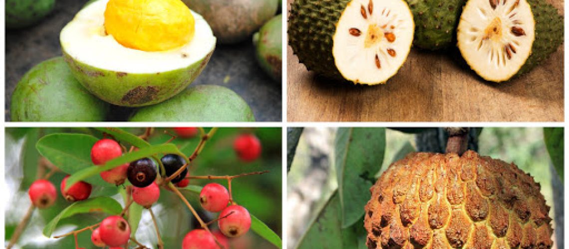 frutas do cerrado
