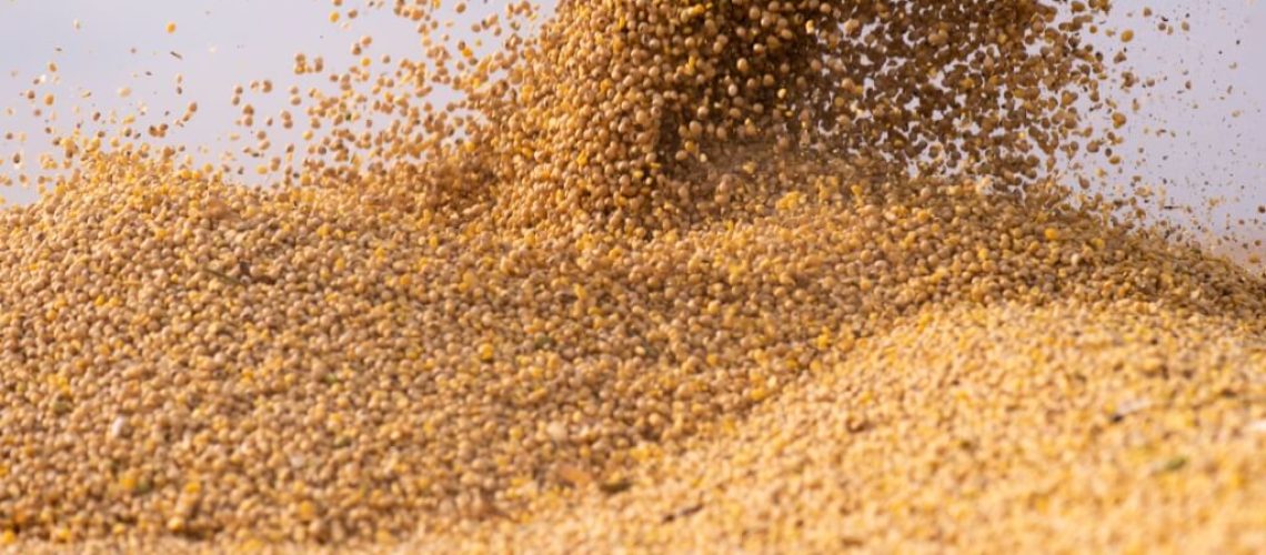 graos-de-soja-trator-colheita