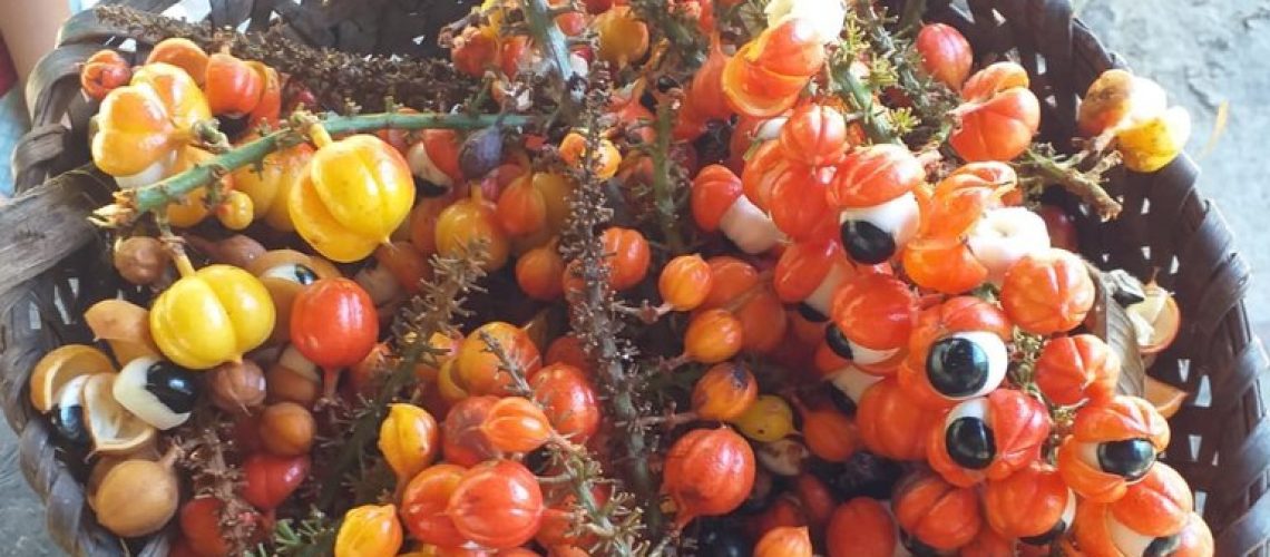 guarana