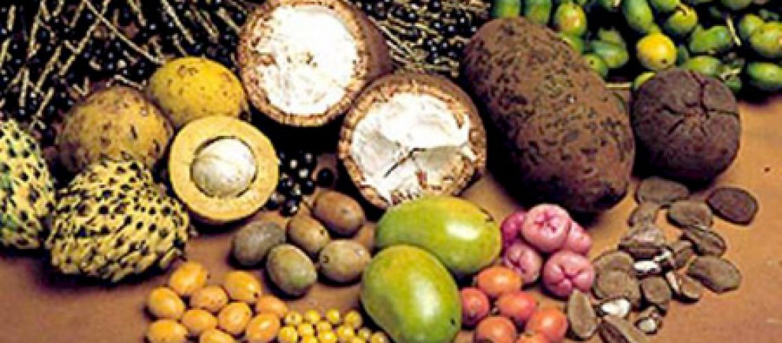 img_produtos-sociobiodiversidade_conab(1)