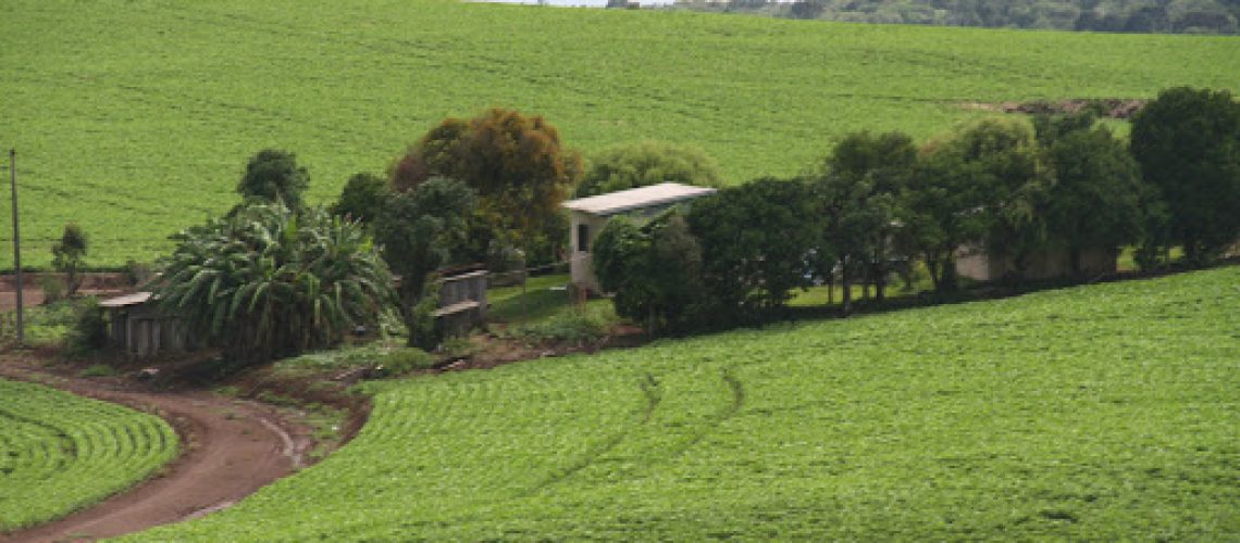 imovel rural