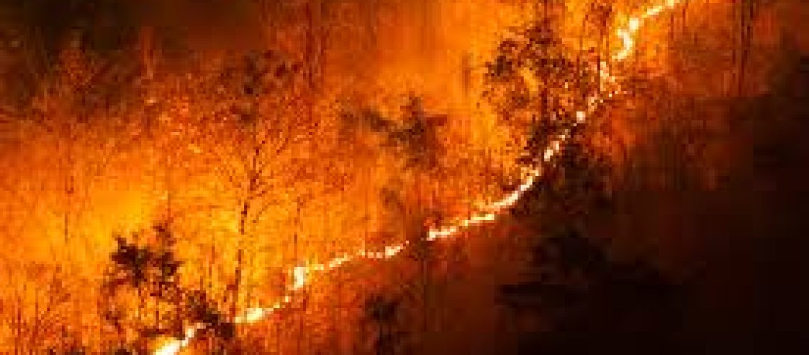 incendio flo