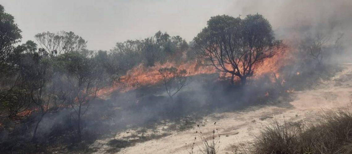 incendio ibitipoca