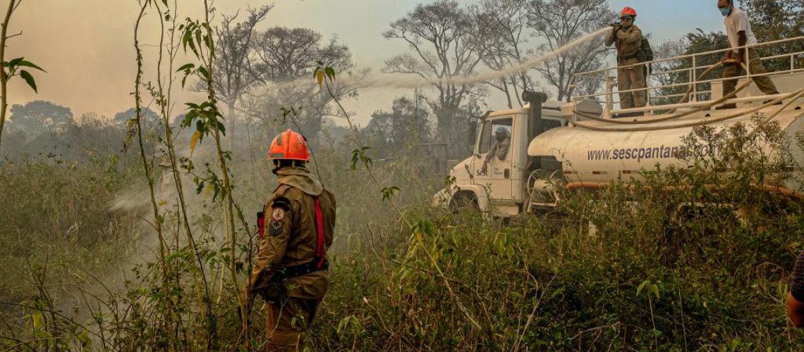 incendio no pantanal