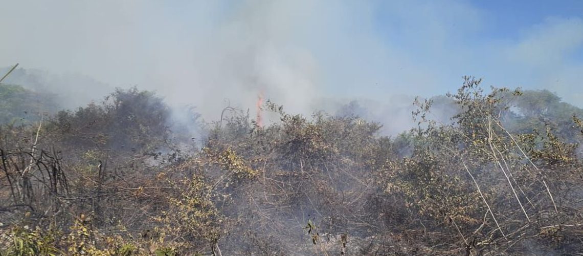 incendio_pantanal