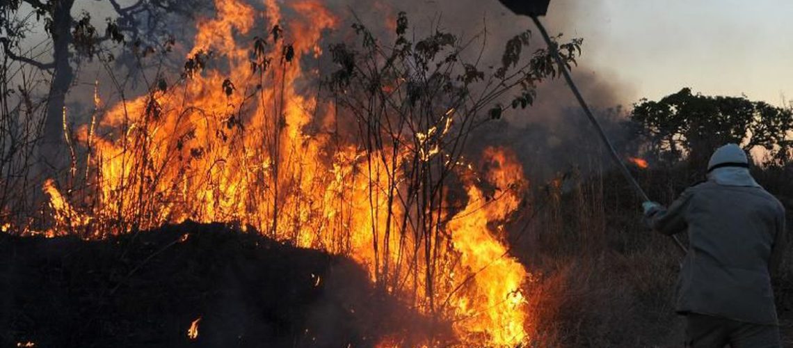 incendios_florestais