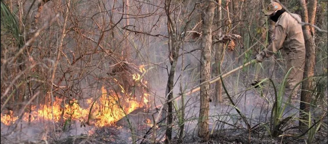 incêndio-pantanal