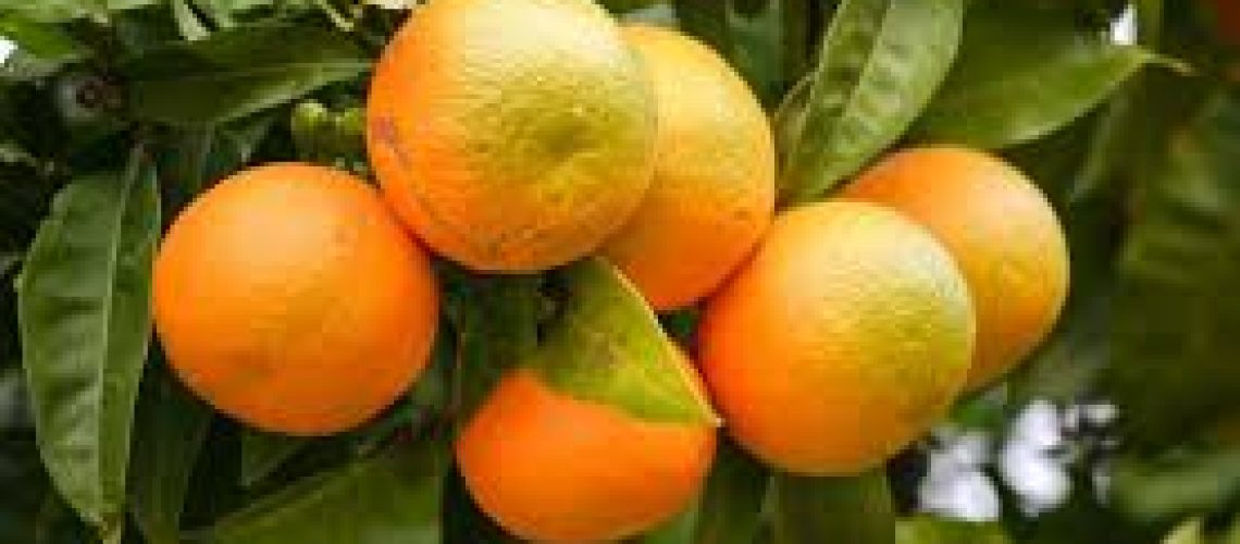 laranja