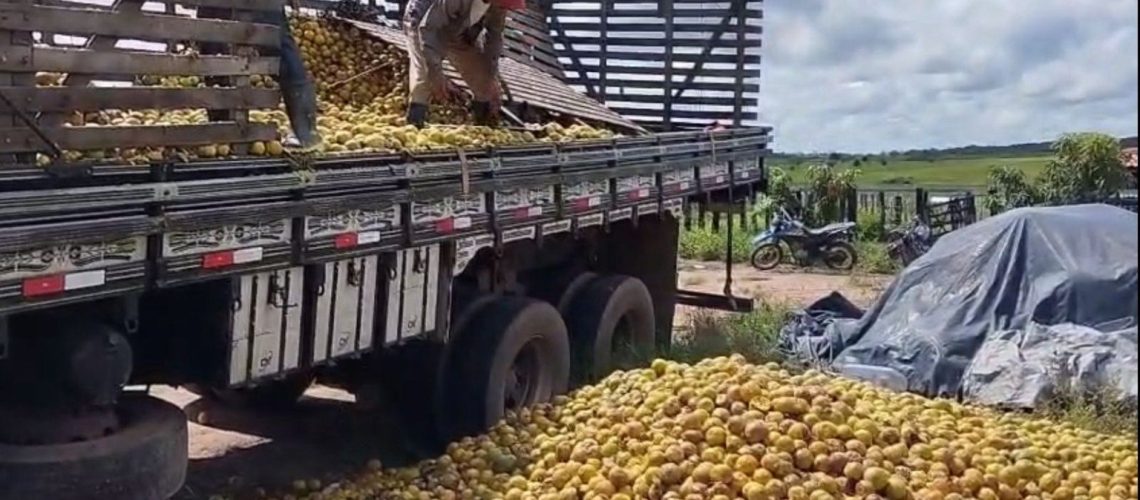 laranja-podre-rioreal-foto-reproducao-1536x868