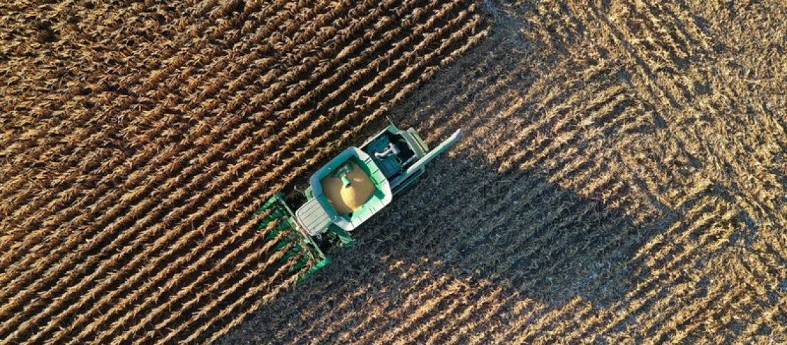 Foto aérea de plantação de milho
REUTERS/Bing Guan