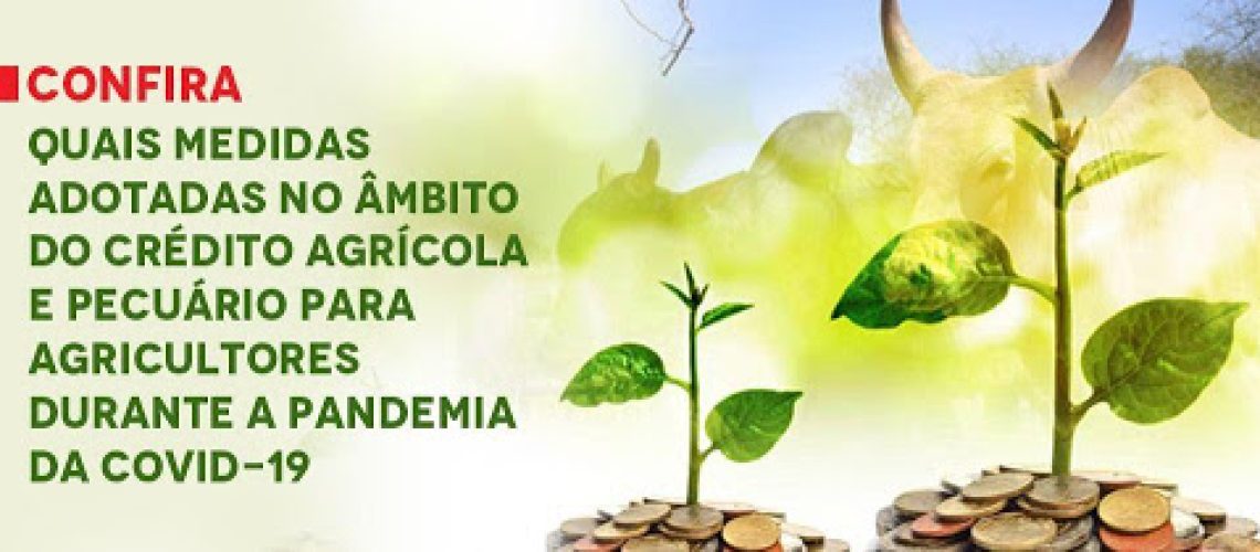 medidas