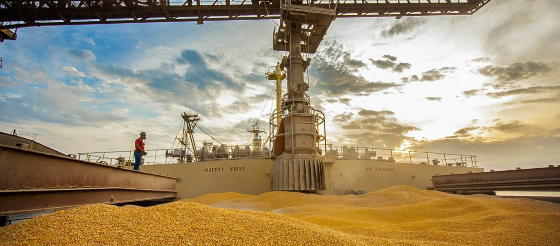 Movimentação Porto de Paranaguá  -  Paranaguá, 10/06/2019  -  Foto: Cláudio Neves/APPA