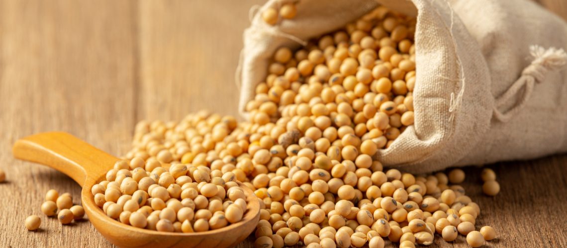molho-de-soja-e-soja-no-assoalho-de-madeira-molho-de-soja-conceito-de-nutricao-alimentar